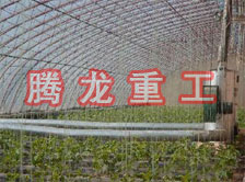 大棚花卉供暖設(shè)備、大棚卉采暖設(shè)備、大棚花卉取暖設(shè)備