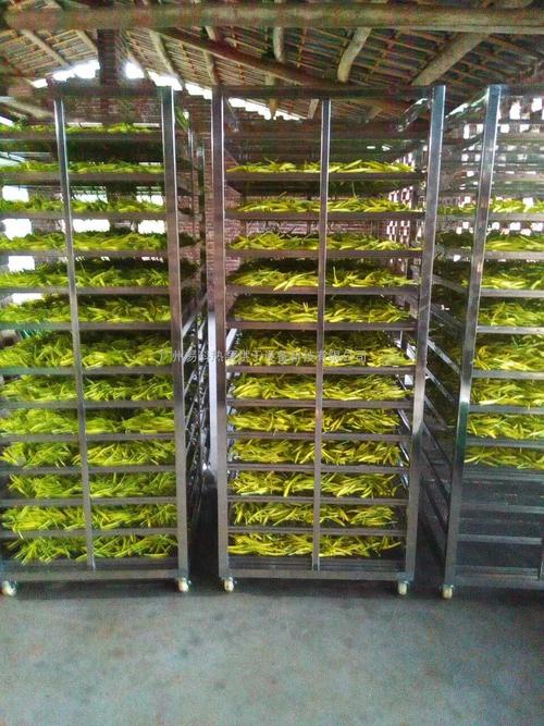 黃花菜烘干機(jī)、黃花菜烘干設(shè)備、黃花菜干燥機(jī)、黃花菜干燥設(shè)備、